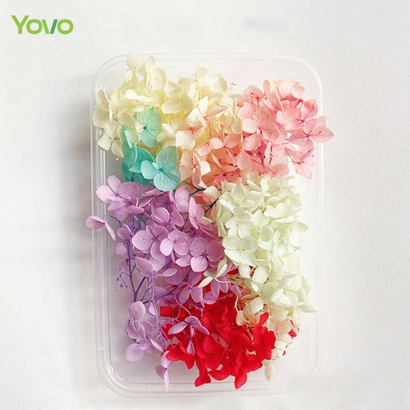 High Quality Popular Natural Dried Flowers Mixed Colors Flower Box Candle Soap DIY Materials for Sale