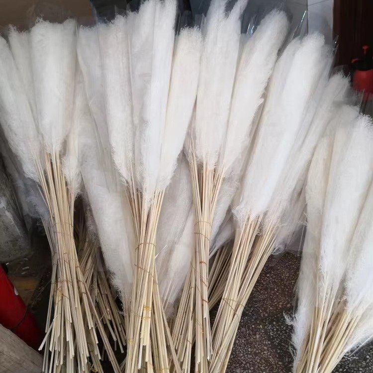 Factory Direct Boho Dried Grass Pampas home Decoration Big Flowers decoration Fluffy Brown Faux Pink Beige 120cmTall Pampas