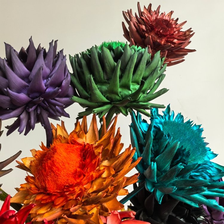 Wedding Dried Flowers Big Floral Arrangement King Protea Preserved Artichoke for Home decor Materials for Bouquet Christmas day
