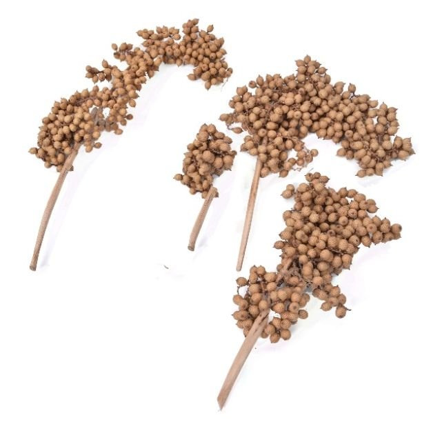 High Quality Popular Canella Potpourri for Wedding Home Event Office Decor & Dried Flower Arrangement