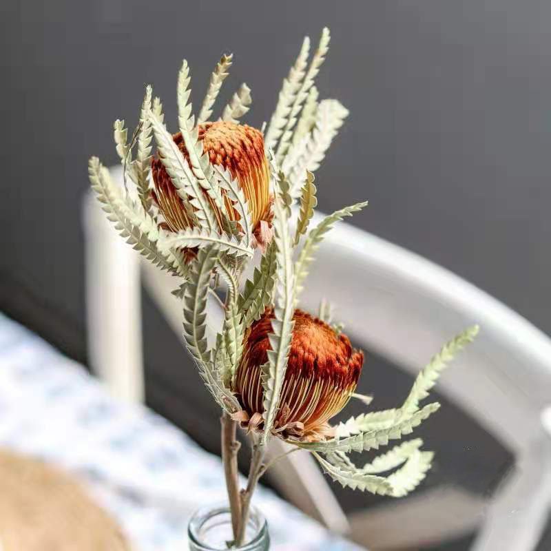 AX- 35 Wholesale Preserved Dried Decorative Flowers Mini Banksia Protea For Flower Arrangement