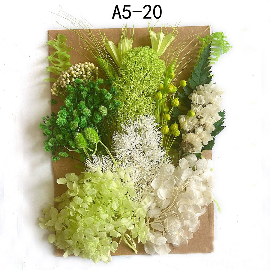 AX-037 Handmade Preserved Baby Breath Dried Hydrangea Real Touch DIY Raw Material Christmas Graduation Easter Photo Frames
