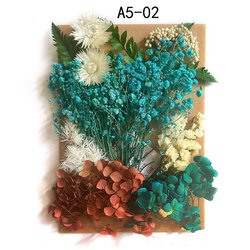 A5-02