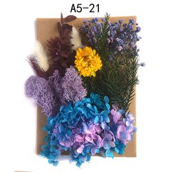 A5-21