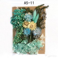 A5-11