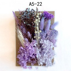 A5-22