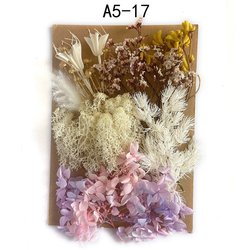 A5-17