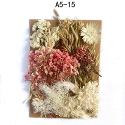 A5-15