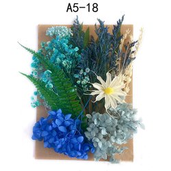 A5-18