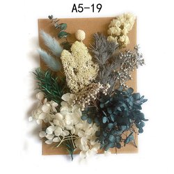 A5-19