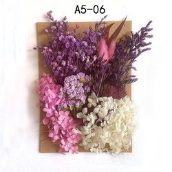 A5-06