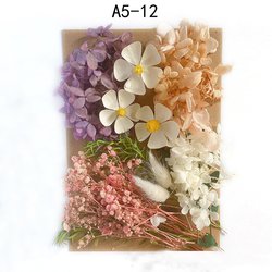 A5-12