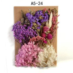 A5-24