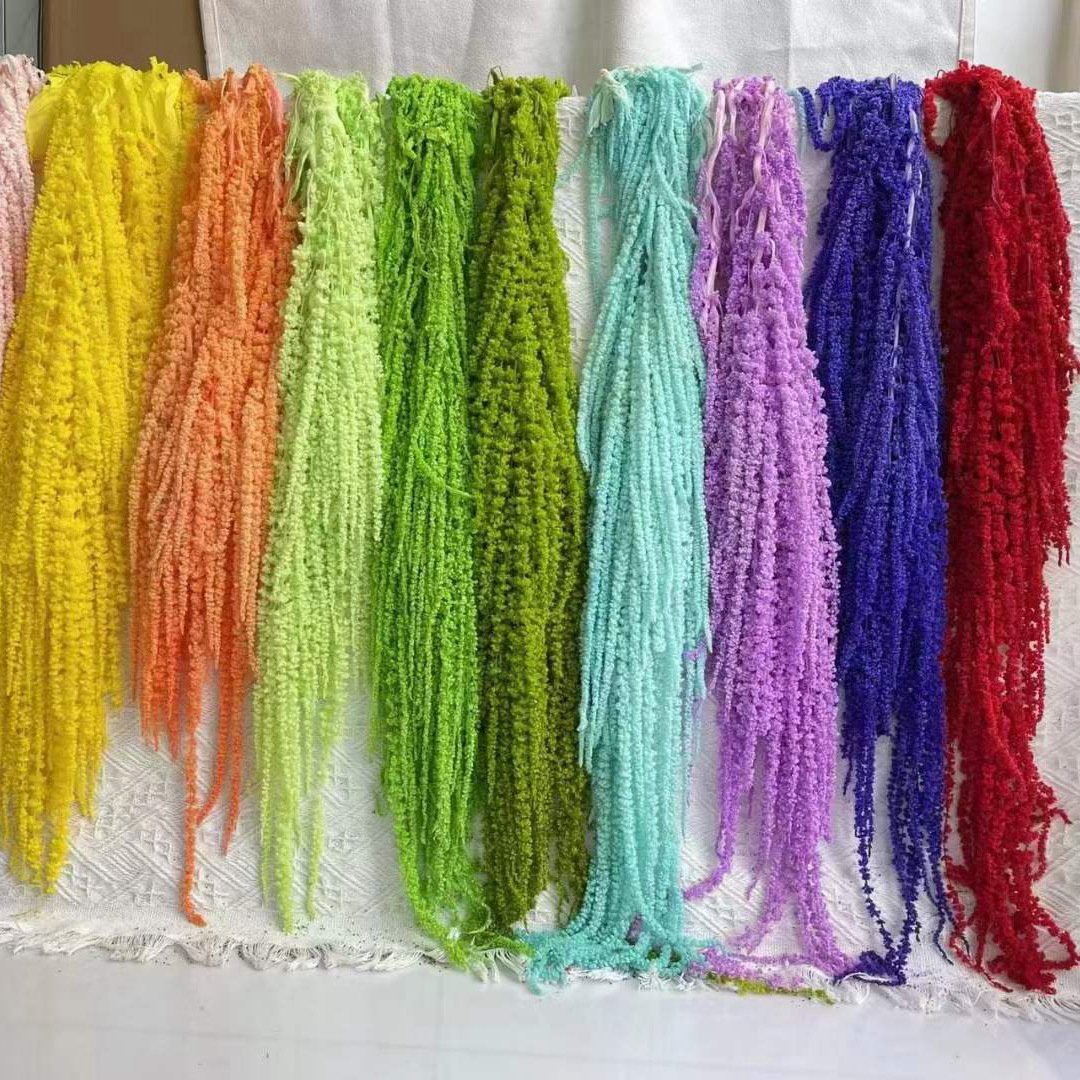 Hot sale new product dried flower amaranthus real natural preserved amaranthus for flower arrangement