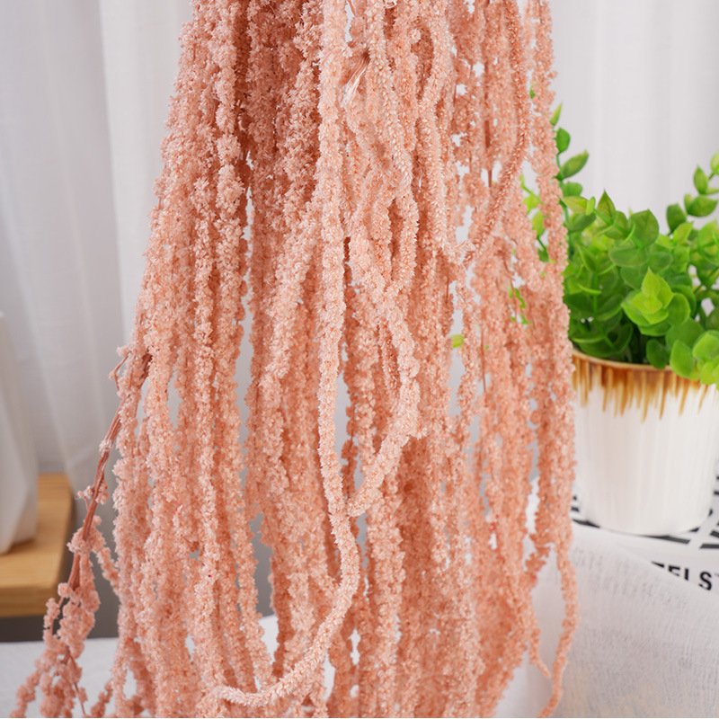 Hot sale new product dried flower amaranthus real natural preserved amaranthus for flower arrangement