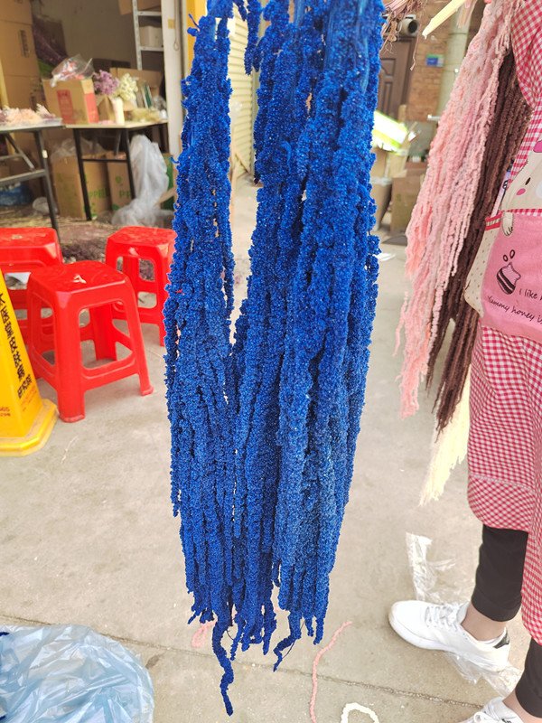 Hot sale new product dried flower amaranthus real natural preserved amaranthus for flower arrangement