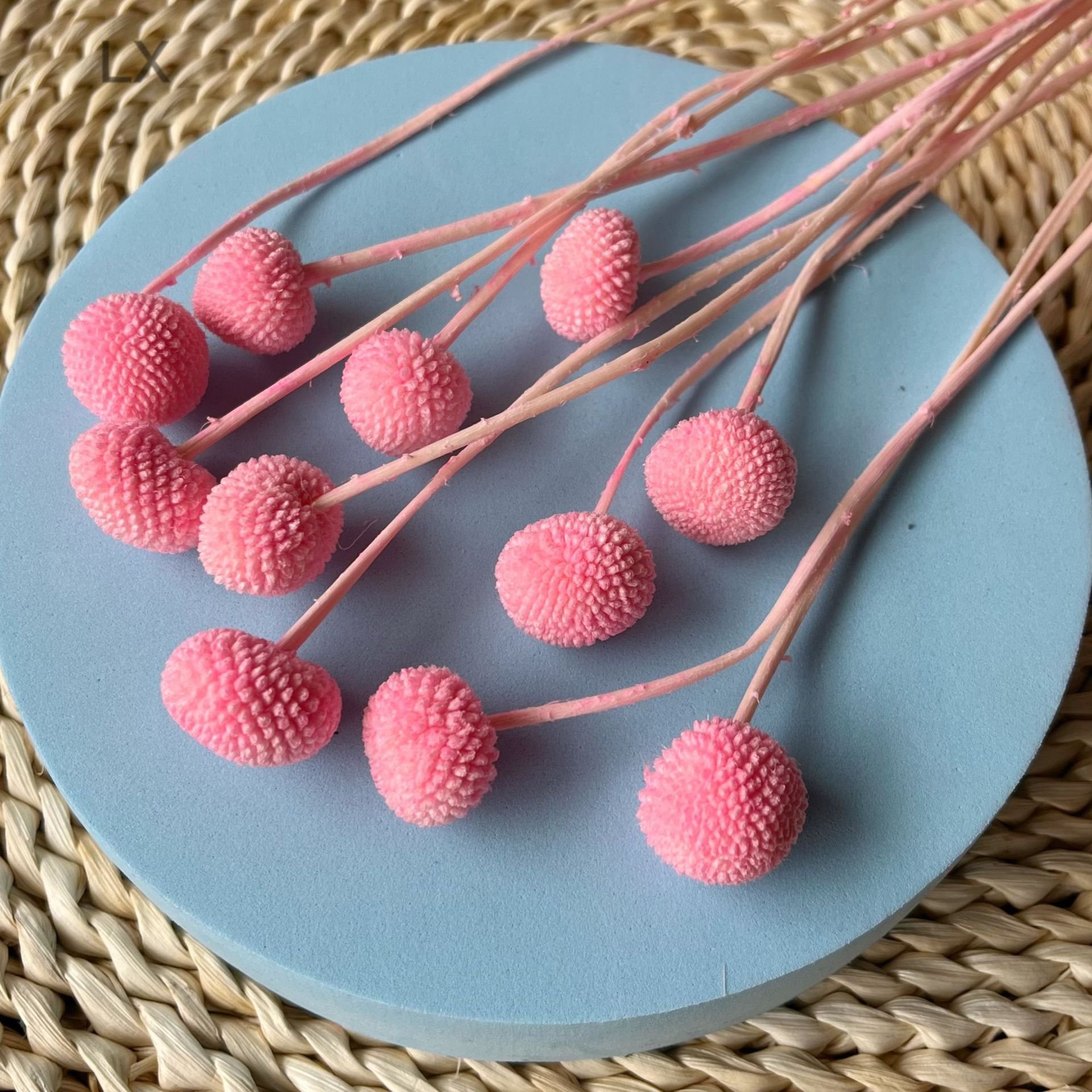 Wholesale Dried Flowers And Plants Golden Balls Flower Preserved Craspedia For DIY Flower Arrangement