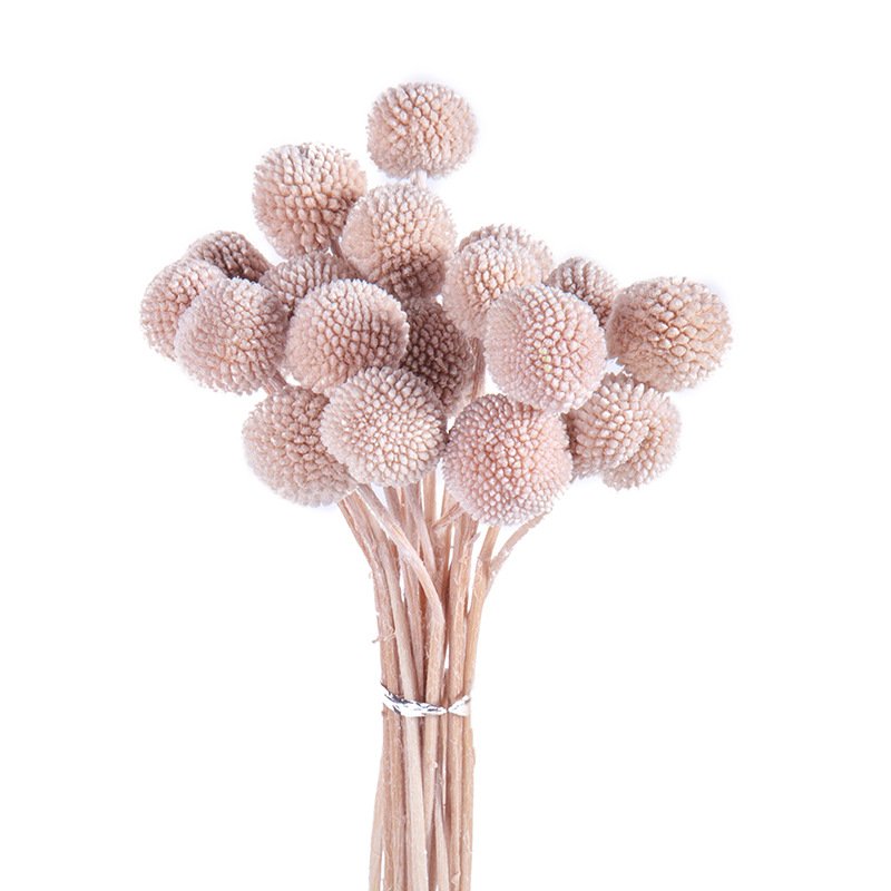 Wholesale Dried Flowers And Plants Golden Balls Flower Preserved Craspedia For DIY Flower Arrangement