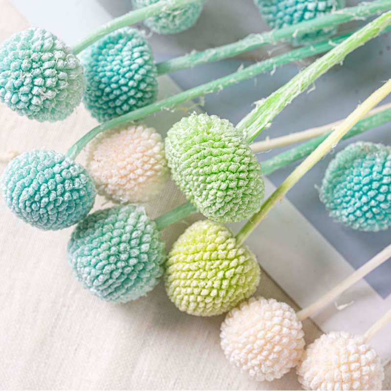 Wholesale Dried Flowers And Plants Golden Balls Flower Preserved Craspedia For DIY Flower Arrangement