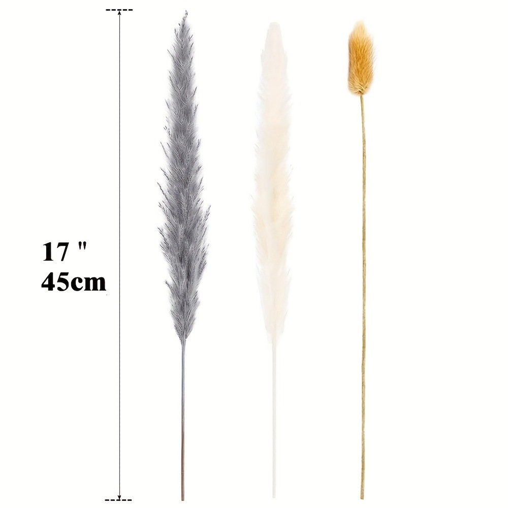 Pampas Grass Fluffy Small Pampas Wild Dried Natural Grass Home Wedding Wholesale 50pcs Carton Box Easter Bunny Jing Yu Yuan 43cm