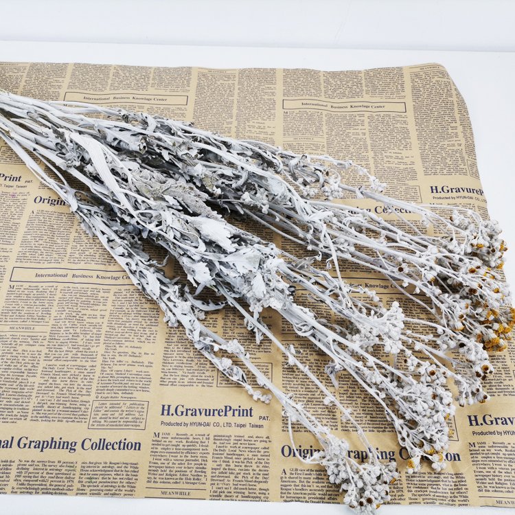 SumFlora Home decoration Combination dried flower orange blossom flower dried flower dusty miller