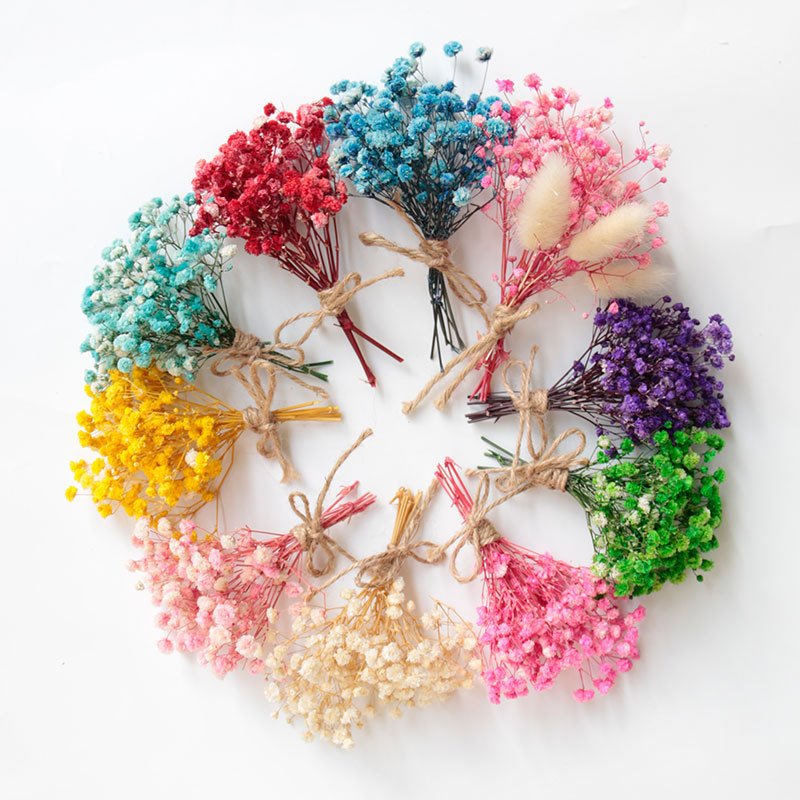 OEM Preserved Flowers Plants Babys Breath Dried Flowers Material Baby's Breath Gypsophila Dried Baby Breath Flower for Bouquet