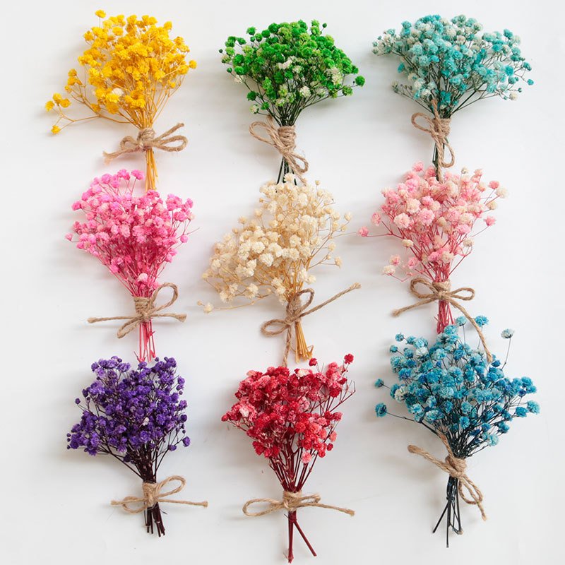 OEM Preserved Flowers Plants Babys Breath Dried Flowers Material Baby's Breath Gypsophila Dried Baby Breath Flower for Bouquet
