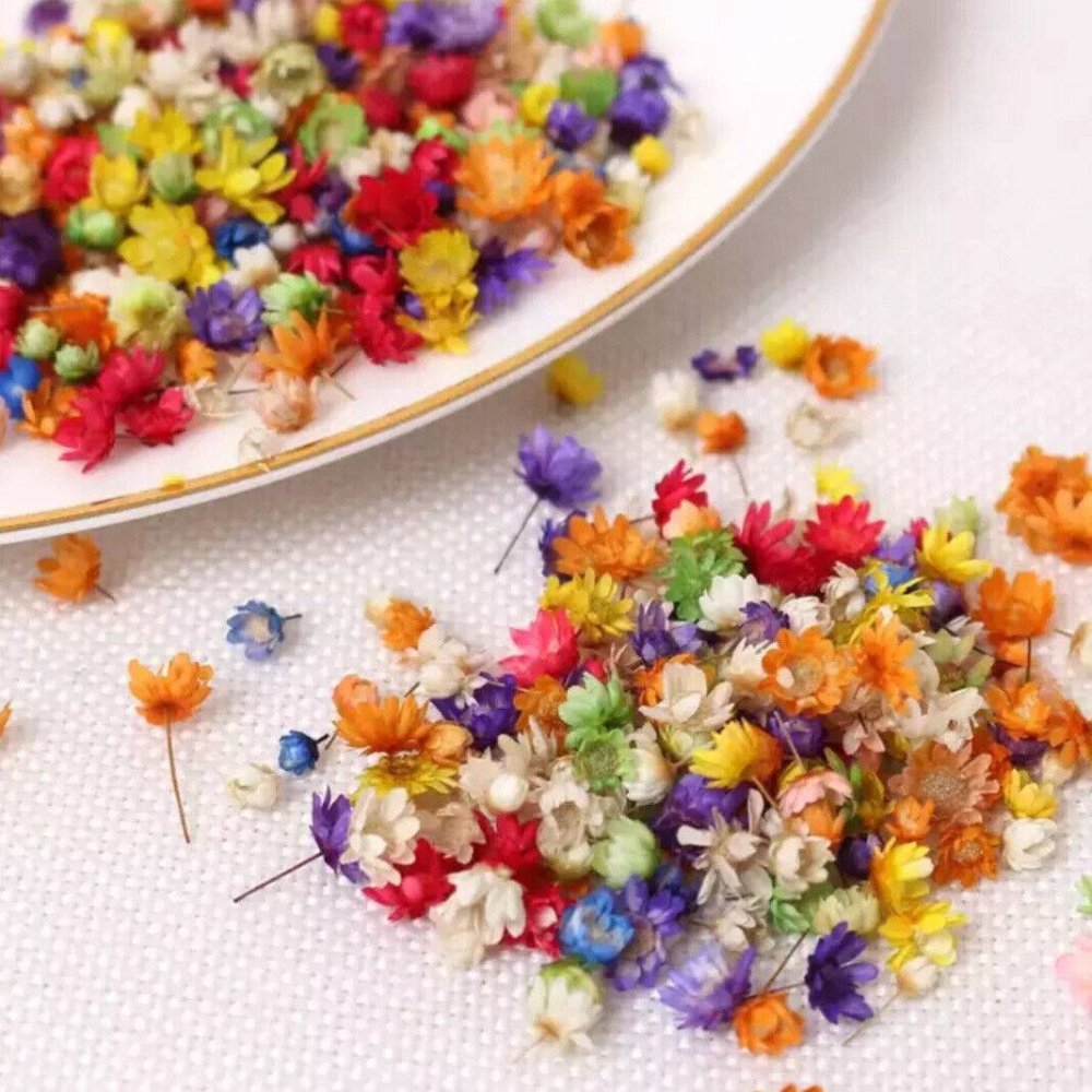 1000g Real dried flowers for DIY craft epoxy resin jewellery soap candle handmade