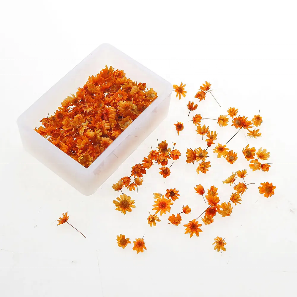1000g Real dried flowers for DIY craft epoxy resin jewellery soap candle handmade