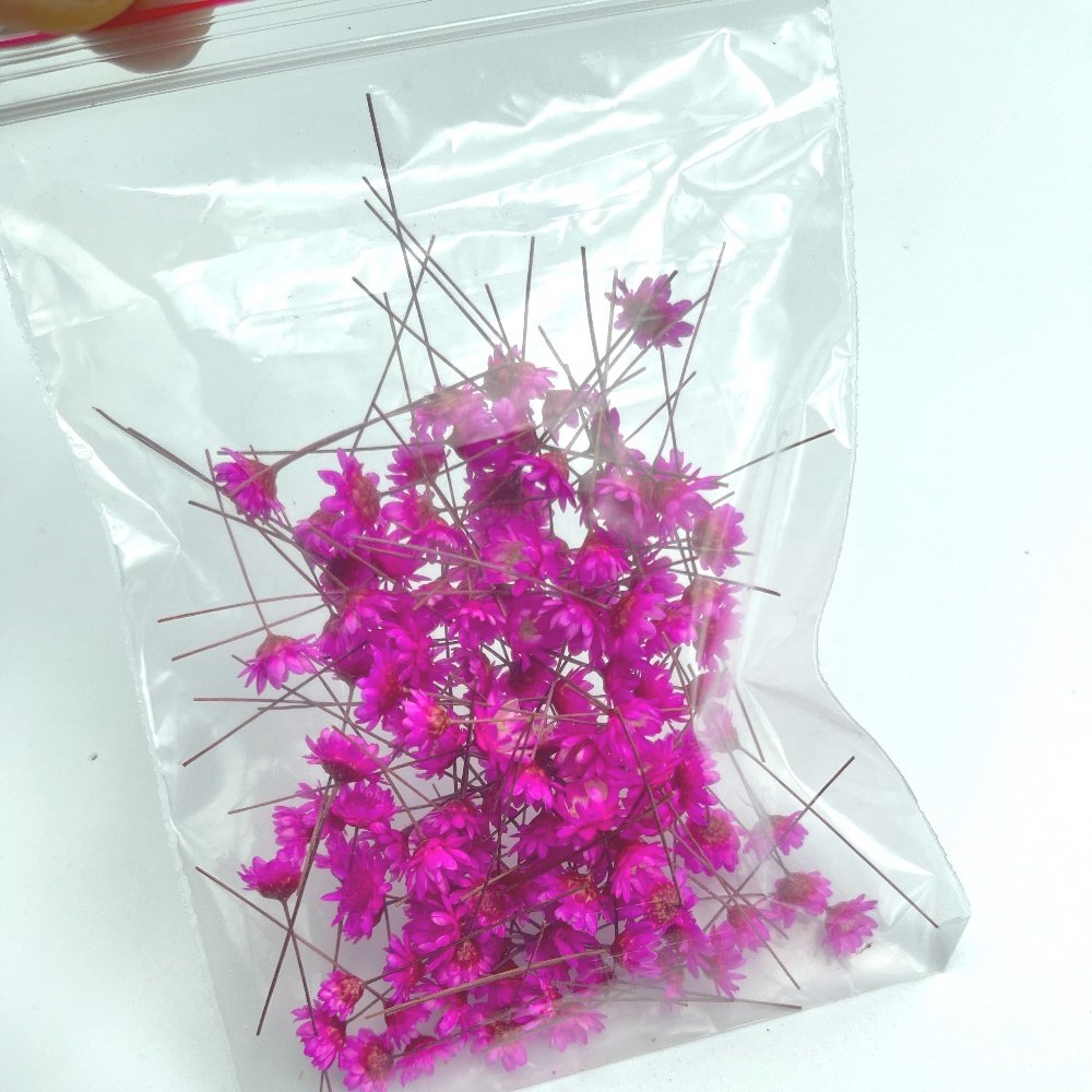 1000g Real dried flowers for DIY craft epoxy resin jewellery soap candle handmade