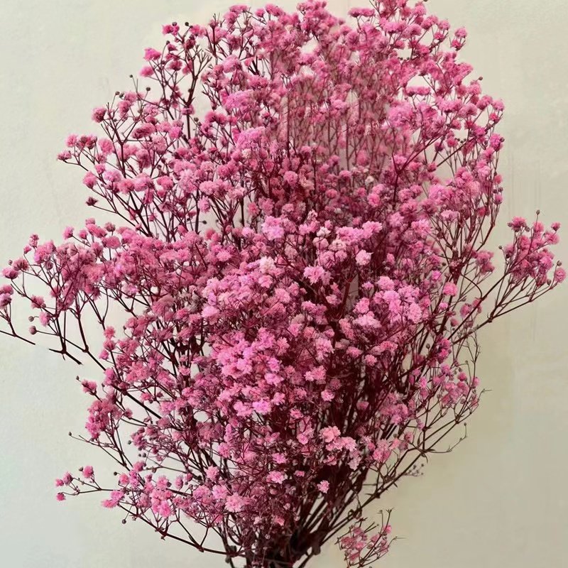Ins hot selling flowers and plants Gypsophila preserved baby breath for wedding/home decoration for flower arrangement