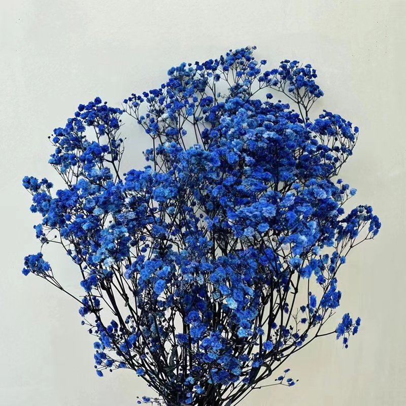 Ins hot selling flowers and plants Gypsophila preserved baby breath for wedding/home decoration for flower arrangement