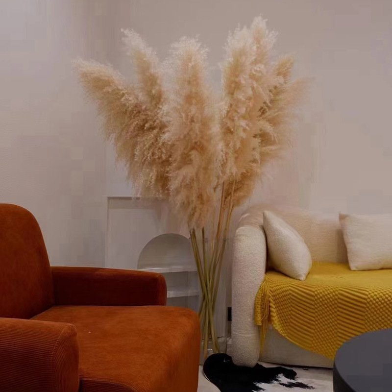 Manufacturer Wholesale 120cm Pampas Grass Eternal Pampas Dried Flowers Large Beige Pampas Grass For Home Decor
