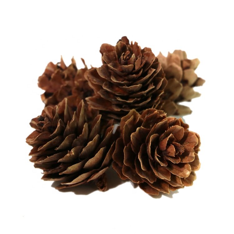 mini flower bouquet for dried flowers decoration dried pine cones daffodil pine cone christmas plants wreath