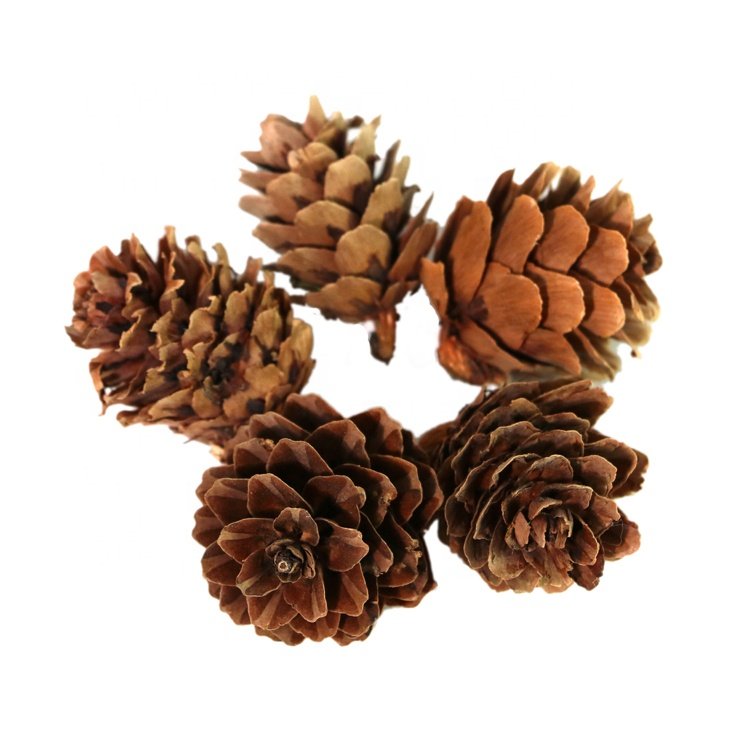 mini flower bouquet for dried flowers decoration dried pine cones daffodil pine cone christmas plants wreath
