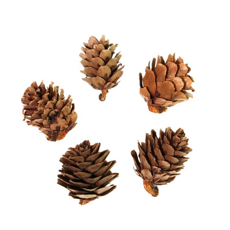 mini flower bouquet for dried flowers decoration dried pine cones daffodil pine cone christmas plants wreath