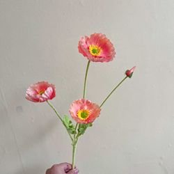 RQ1675