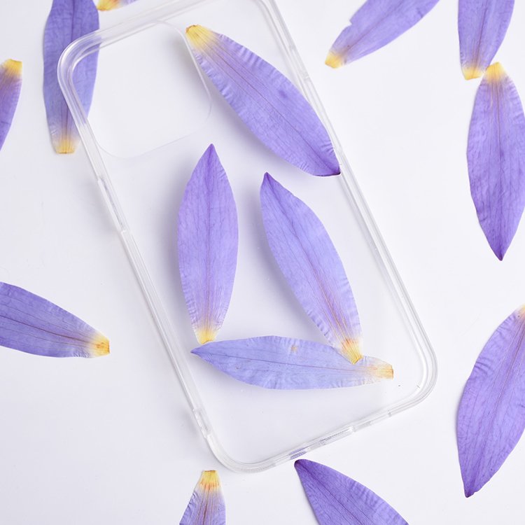 I638 Dried Pressed Flowers Water Lily Petals DIY Materials Craft Decorations Festival's Gift