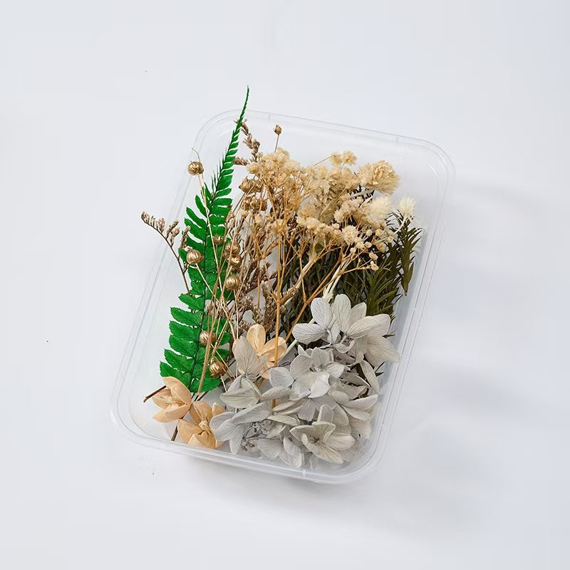 Dried flower dry fruit box cinnamon lemon pine cone DIY material decorative flower natural plant dry flower for Christmas deco