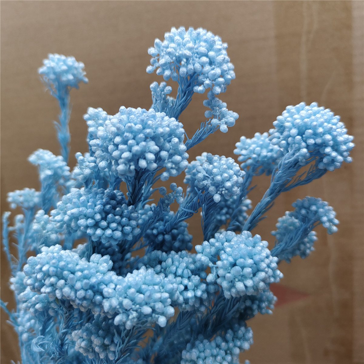 New High Quality Real Touch Mini Rice Flower Dried Preserved Flower Bouquet Fresh Natural Stem Eternal Home Decoration