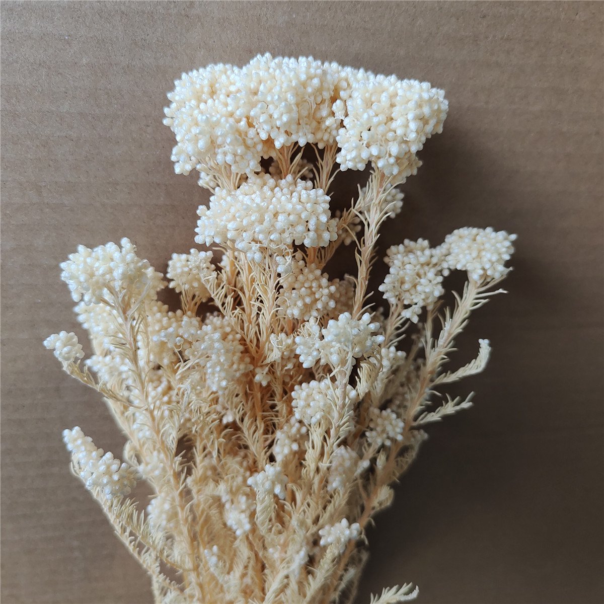 New High Quality Real Touch Mini Rice Flower Dried Preserved Flower Bouquet Fresh Natural Stem Eternal Home Decoration