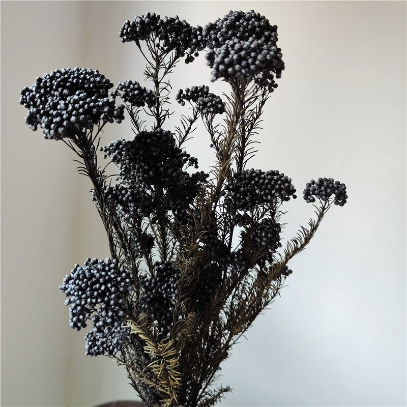 New High Quality Real Touch Mini Rice Flower Dried Preserved Flower Bouquet Fresh Natural Stem Eternal Home Decoration