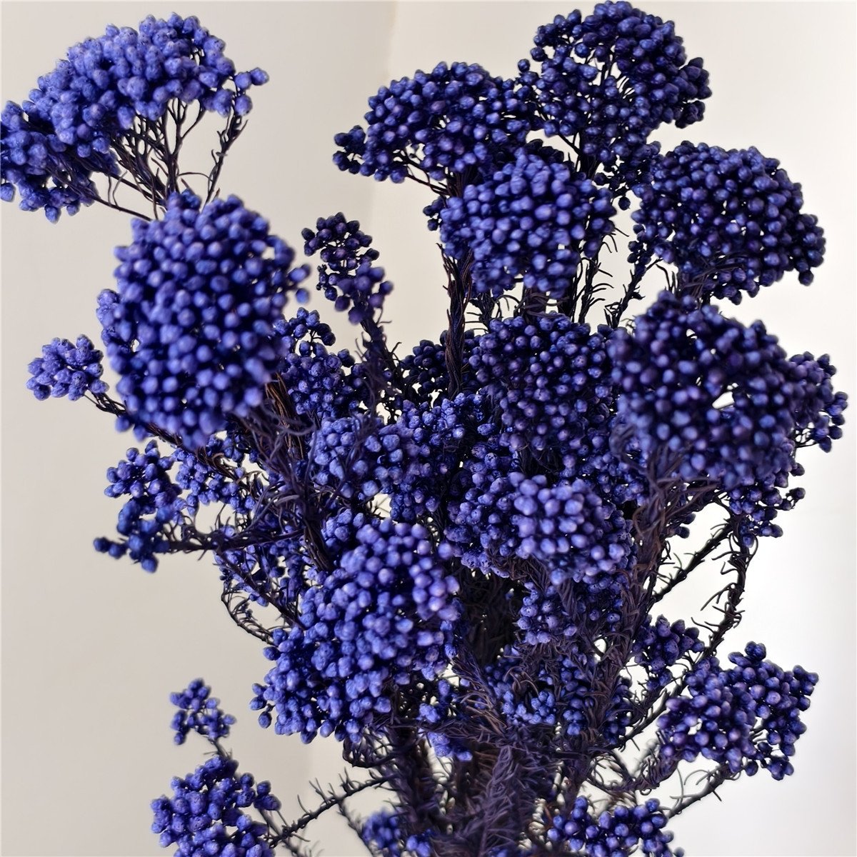 New High Quality Real Touch Mini Rice Flower Dried Preserved Flower Bouquet Fresh Natural Stem Eternal Home Decoration