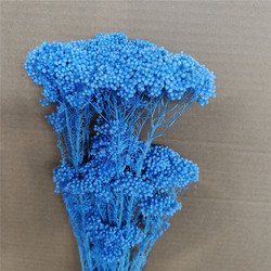 SKU19
