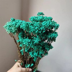 SKU09