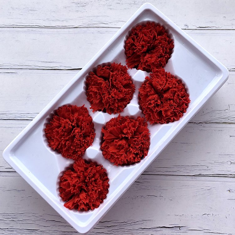 classical style dried Carnation flowers Dianthus caryophyllus for home decorations