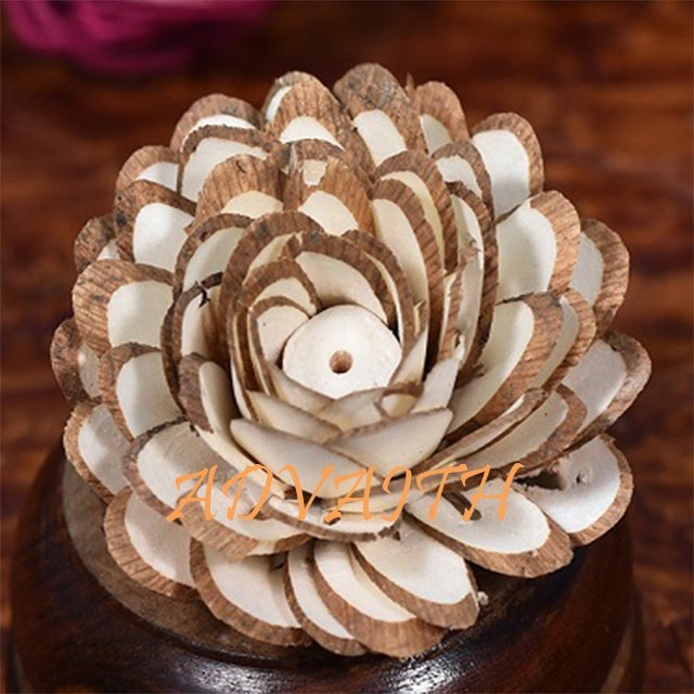 Handmade Dried Sola Flowers Custom Size Wood Rattan Materials for DIY Bouquets Western Style Packaged in Bags-Wholesale
