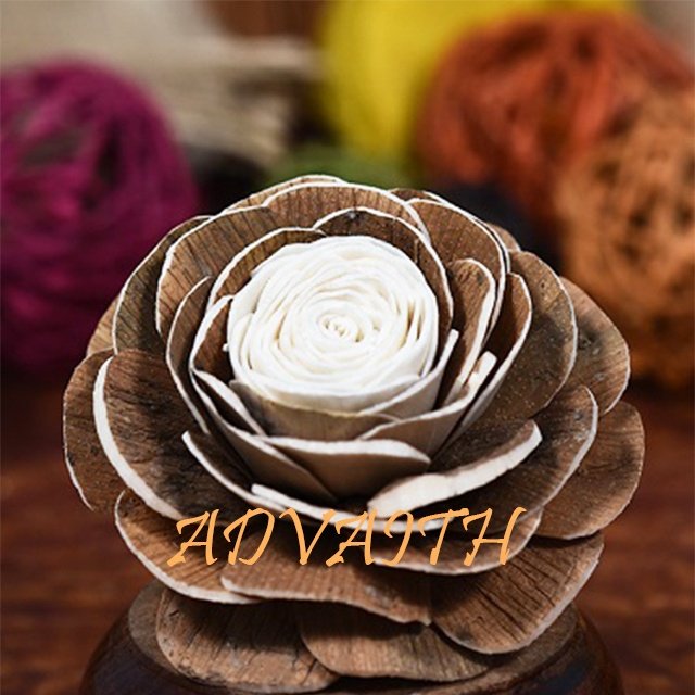 Handmade Dried Sola Flowers Custom Size Wood Rattan Materials for DIY Bouquets Western Style Packaged in Bags-Wholesale