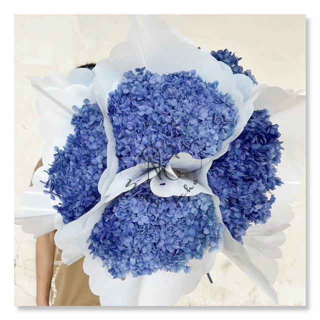 Preserved Anna Hydrangea Dried Flower Bouquet for Wedding Decoration Natural Flower for Home Decor 20" Real Hydrangeas Petals