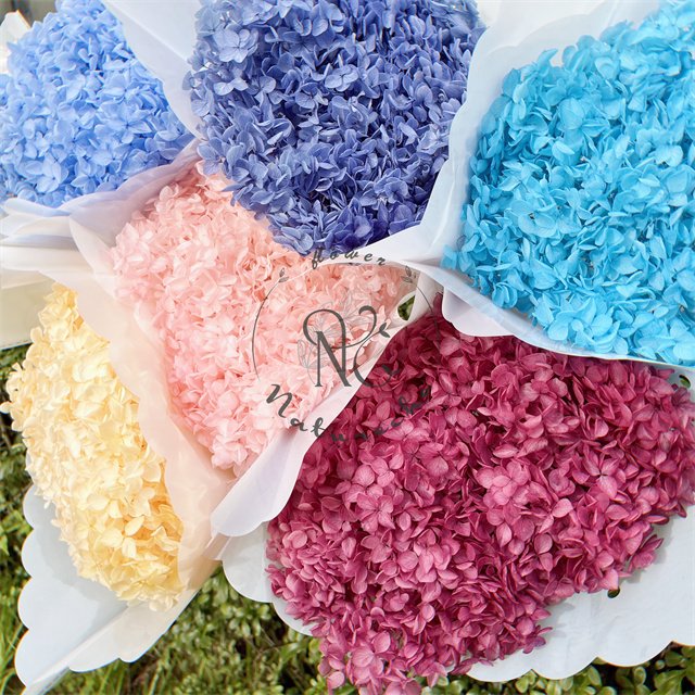 Preserved Anna Hydrangea Dried Flower Bouquet for Wedding Decoration Natural Flower for Home Decor 20" Real Hydrangeas Petals